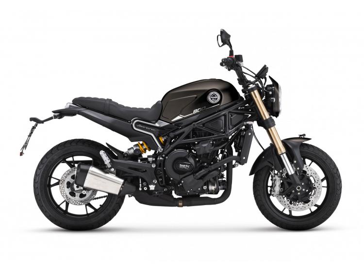 BENELLI LEONCINO 800