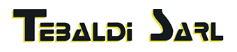 Logo de TEBALDI SCOOTER